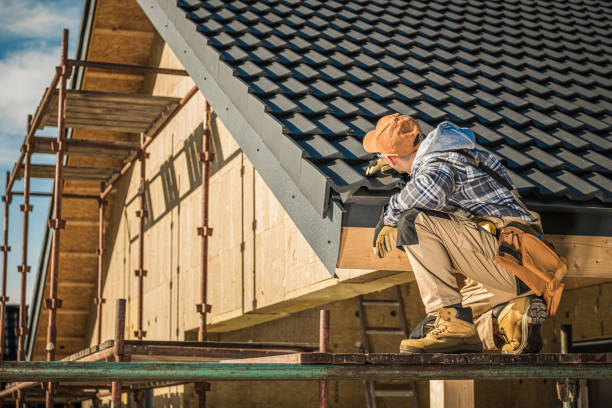 Best Skylight Installation and Repair  in Joshua, TX